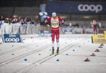 Выручка компании Клебо выросла почти на 20% Выручка компании Клебо выросла почти на 20%
