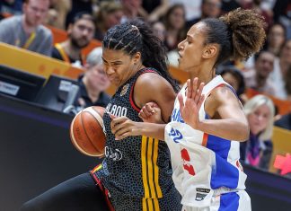 Франция вышла в финал женского чемпионата мира по баскетболу Франция вышла в финал женского чемпионата мира по баскетболу