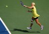 Шнайдер и Мертенс вышли в полуфинал US Open Шнайдер и Мертенс вышли в полуфинал US Open