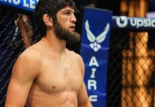 Гамид и Тимур Хизриевы победили на PFL Chicago Гамид и Тимур Хизриевы победили на PFL Chicago