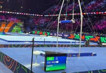 Заика стал пятым на кольцах чемпионата мира Заика стал пятым на кольцах чемпионата мира