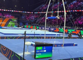 Заика стал пятым на кольцах чемпионата мира Заика стал пятым на кольцах чемпионата мира