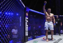 Немков и Билостенный возглавят турнир PFL в Дубае Немков и Билостенный возглавят турнир PFL в Дубае