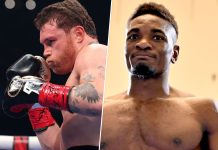 Альварес и Мбилли проведут бой за титул WBC Альварес и Мбилли проведут бой за титул WBC