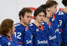 Гомоляко оценил трансферную кампанию «Северстали» в межсезонье Гомоляко оценил трансферную кампанию «Северстали» в межсезонье